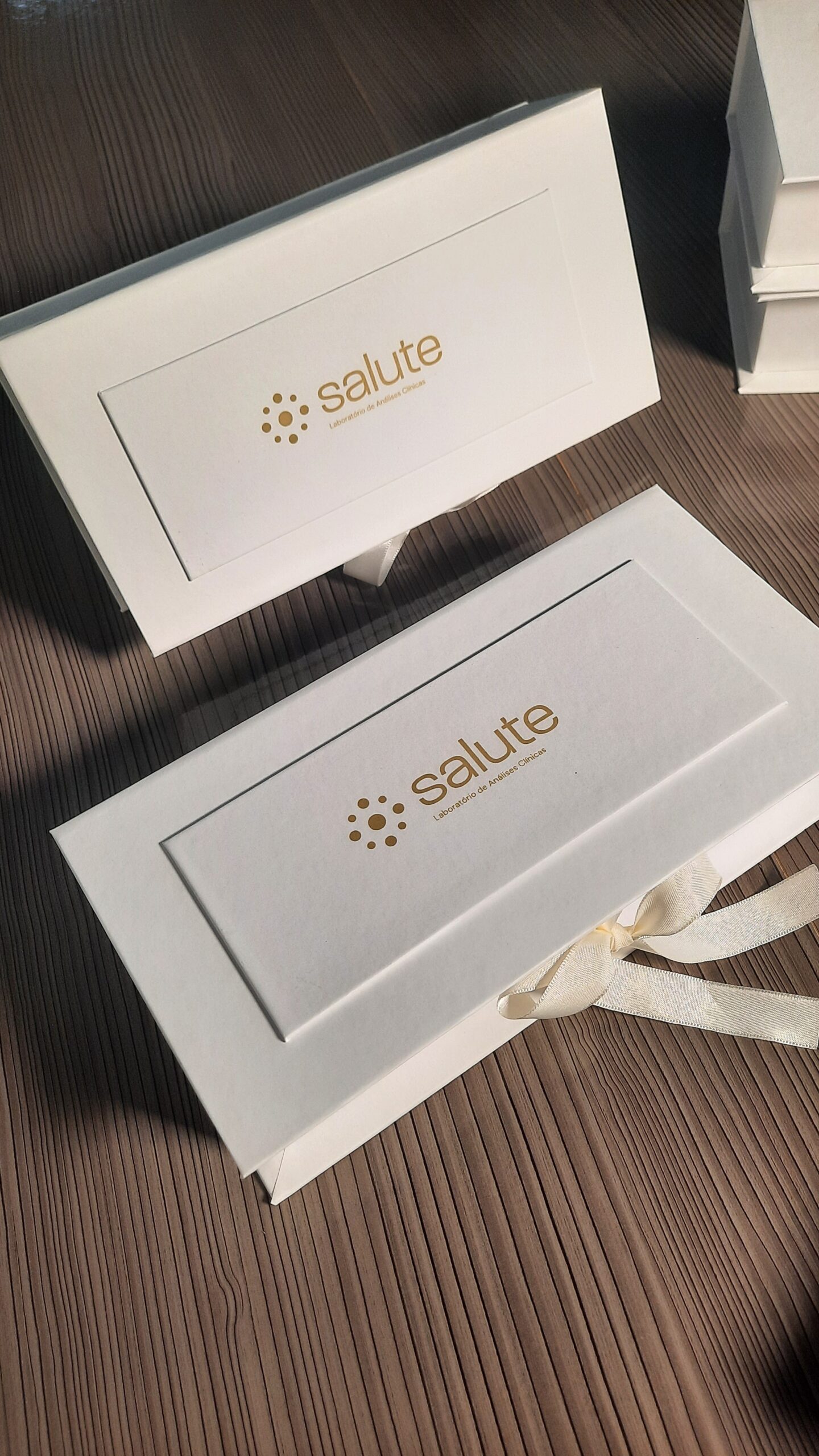 Caixa Cartonada Personalizada Corporativa Laboratório Salute - Imagem 6